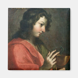 St John evangelisten Magnet