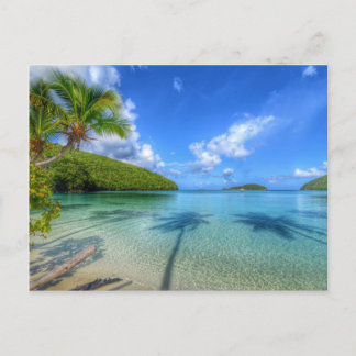 St John USVI Island Life Vykort