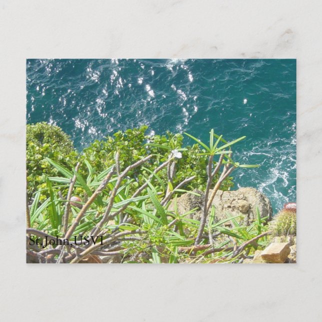 St.John,USVI Vykort (Framsida)