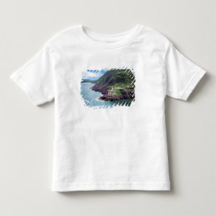 St. John's, Newfoundland, Kanada, historiska Fort Tee