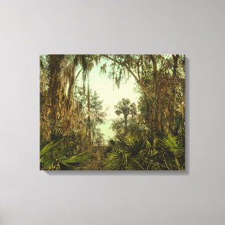 St. Johns River Florida 1898 Photo Canvastryck