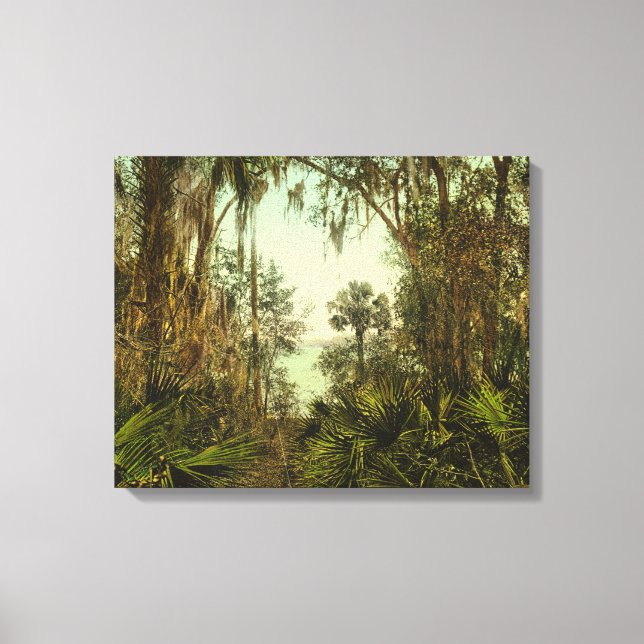 St. Johns River Florida 1898 Photo Canvastryck (Framsida)