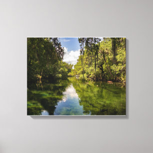 St Johns River Florida Reflection Canvastryck