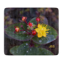 St. John's Wort Gult Flower Personlig