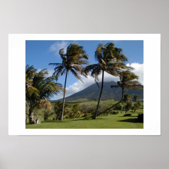 St. Kitts Plantation Poster (Framsidan)