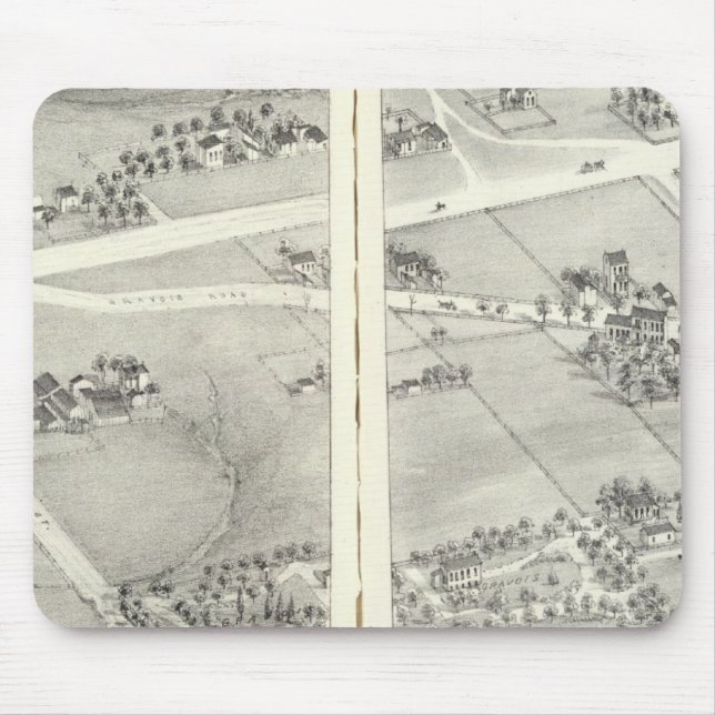 St. Louis, Missouri 16 Musmatta (Framsidan)