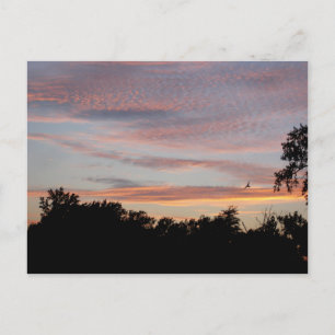 St. Louis Sunset Vykort
