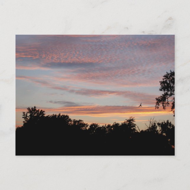 St. Louis Sunset Vykort (Framsida)