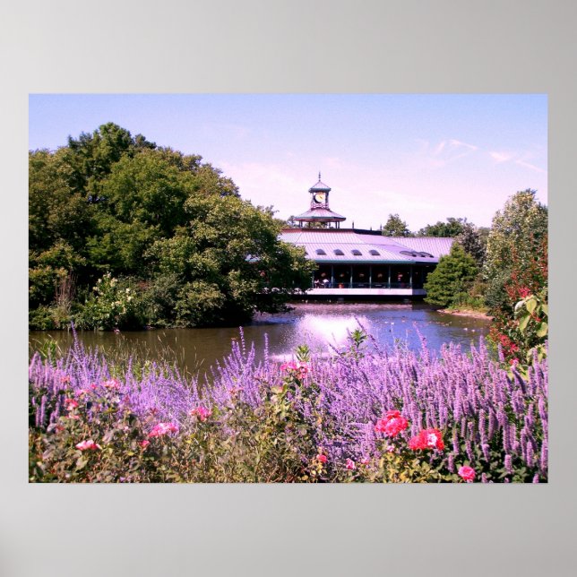 St. Louis Zoo Poster (Framsidan)