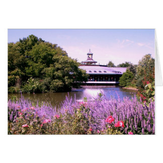 St. Louis Zoo sjö Hälsningskort