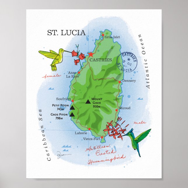 St. Lucia karta 8x10 Poster (Framsidan)