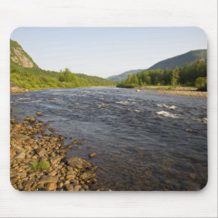 St. Marguerite-floden i Parc du Saguenay. Musmatta