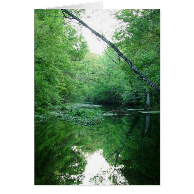 St. Markerar floden Hälsningskort (Framsidan)