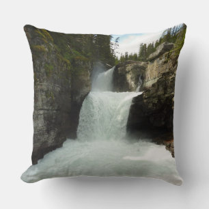 St. Mary Falls I i Glacier National Park Kudde