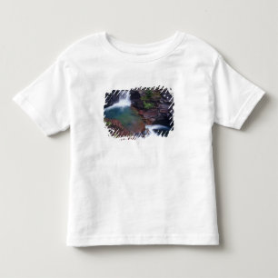 St Maryfallen i Glacier National Park i T-shirt