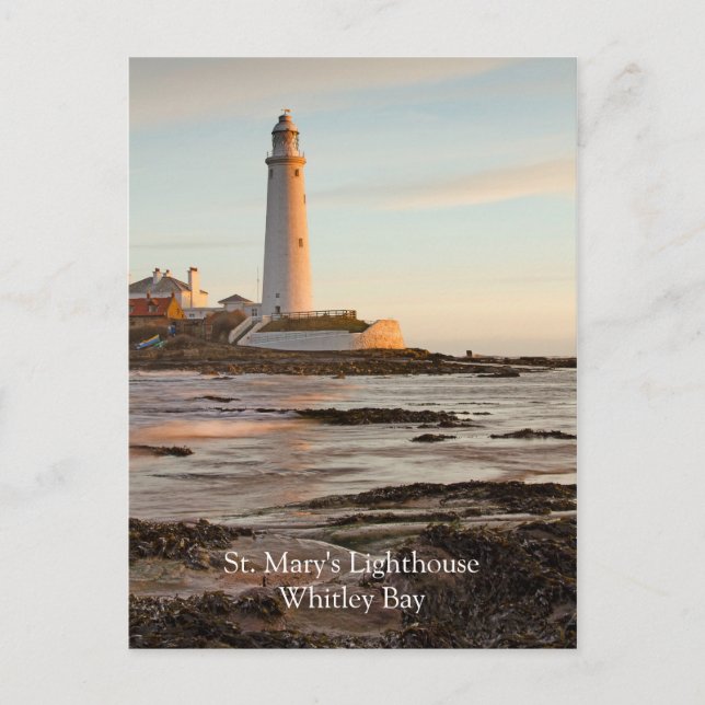 St Mary's Lighthouse England Postcard Vykort (Framsida)