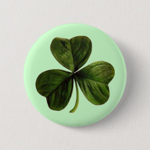 St. Patrick är tre Löv Klöver Knapp