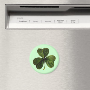 St. Patrick är tre Löv Klöver Magnet