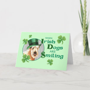 St. Patrick dag Wheaten Terrier Kort