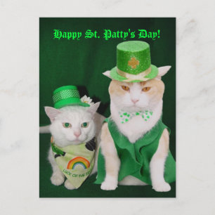St. Patrick Kattunge Vykort