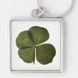 St Patrick Real 4 Löv Klöver får Lucky Keychain Fyrkantig Silverfärgad Nyckelring