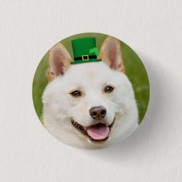 St patrick's day any Shiba Inu Hund Knapp