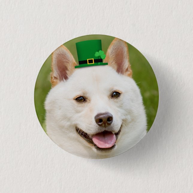 St patrick's day any Shiba Inu Hund Knapp (Framsida)