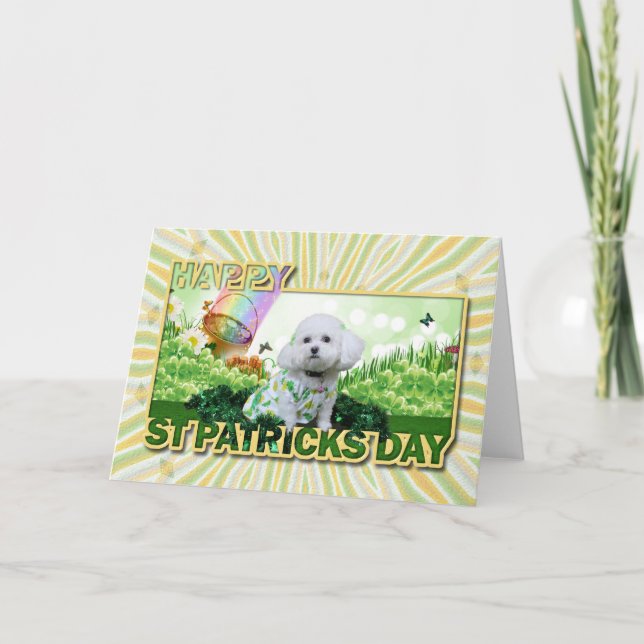 St patrick's day - Bichon Frise - Mia Kort (Framsida)