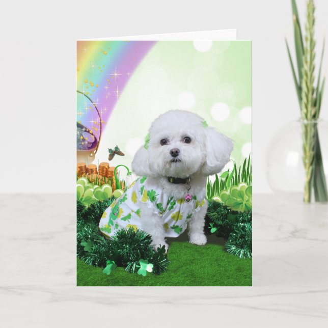 St patrick's day - Bichon Frise - Mia Kort (Framsida)