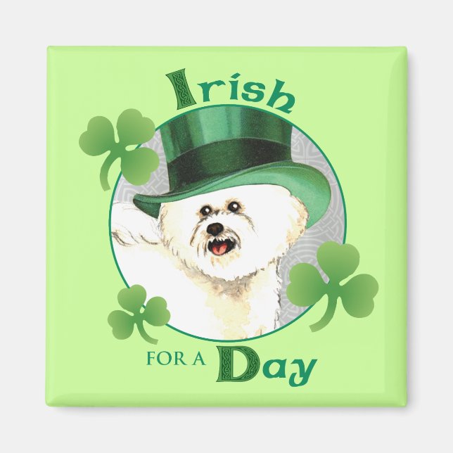 St. Patrick's Day Bichon Magnet (Framsidan)