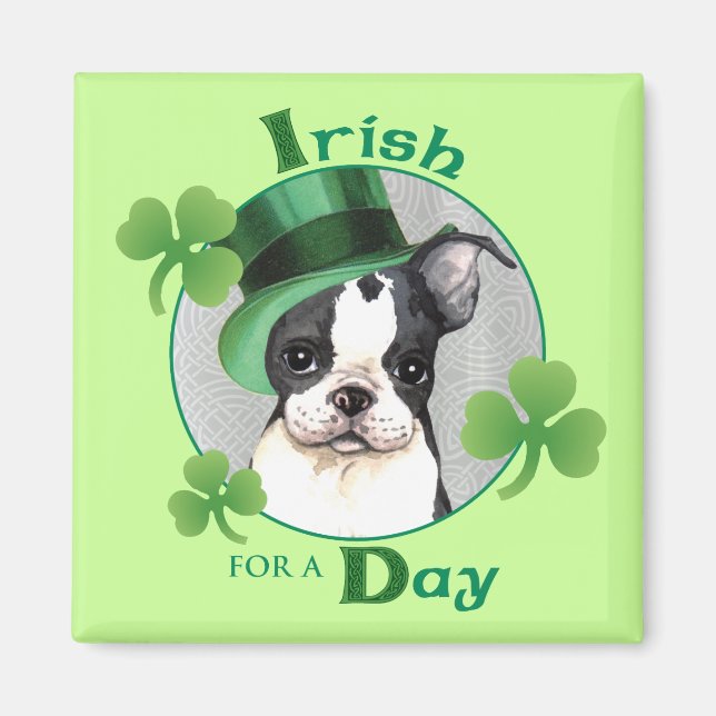 St. Patrick's Day Boston Terrier Magnet (Framsidan)