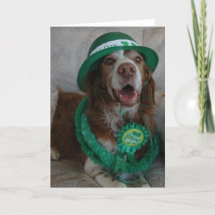 ST PATRICK'S DAY BRITTANY KORT