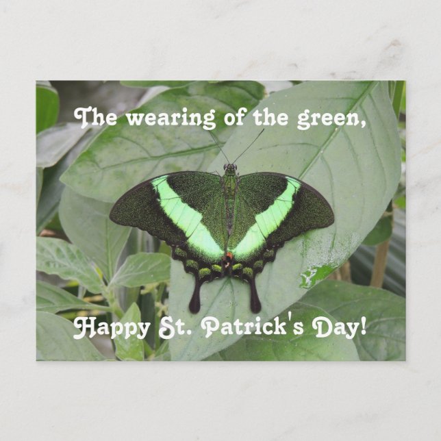 St. Patrick's Day Butterfly Vykort (Framsida)