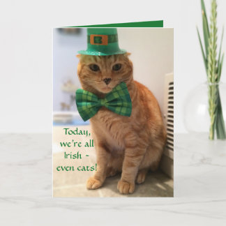 St. Patrick's Day Card med en söt katt Kort
