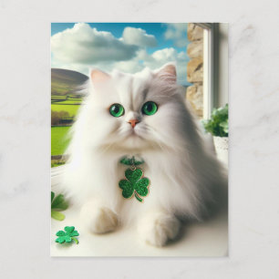 St. Patricks Day Cat Fluffy White Cat Grönt Ögon Vykort
