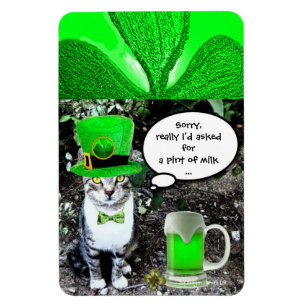 ST PATRICK'S DAY CAT MED GRÖNT IRISH-ÖL MAGNET