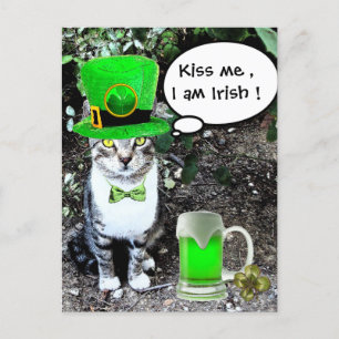 ST PATRICK'S DAY CAT MED GRÖNT IRISH-ÖL VYKORT