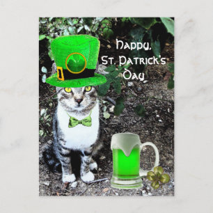 ST PATRICK'S DAY CAT MED GRÖNT IRISH-ÖL VYKORT