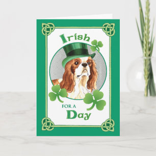 St. Patrick's Day Cavalier Kort