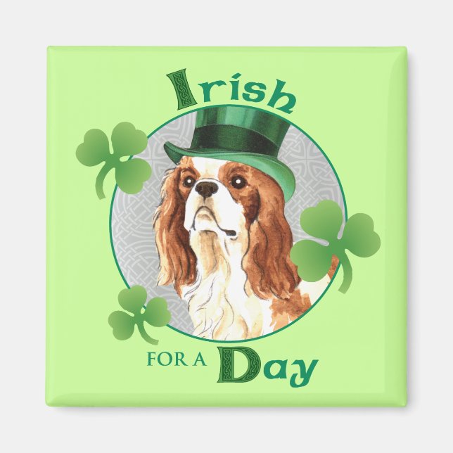 St. Patrick's Day Cavalier Magnet (Framsidan)