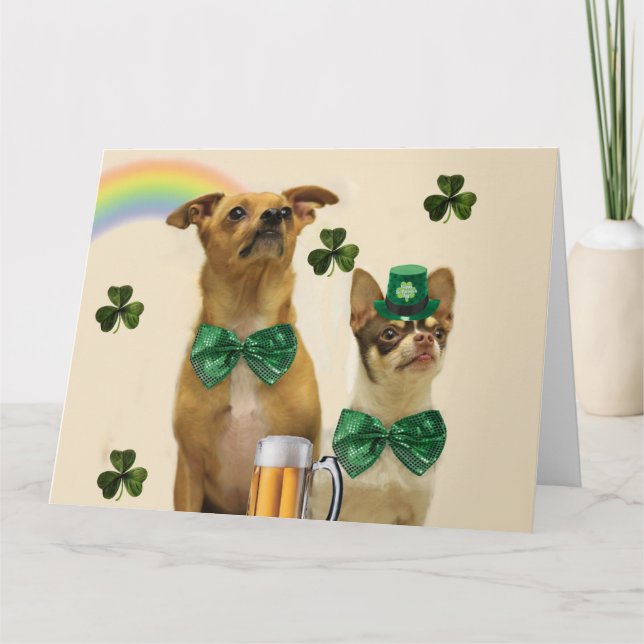 St. Patrick's Day Chihuahuas Kort (Framsida)