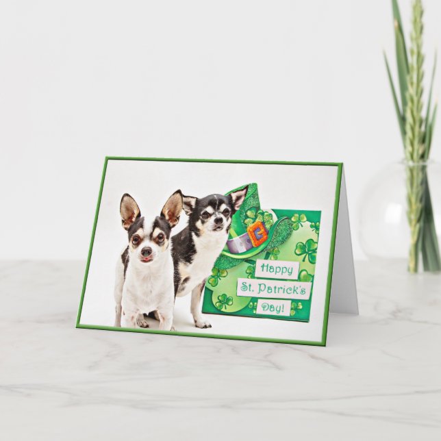 St. Patrick's Day Chihuahua's Kort (Framsida)