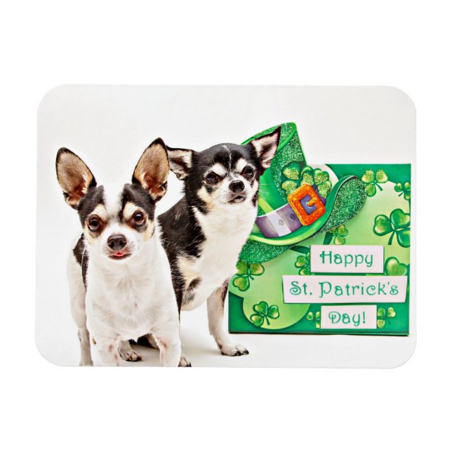 St. Patrick's Day Chihuahua's Magnet (Horisontell)