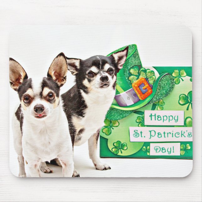 St. Patrick's Day Chihuahua's Musmatta (Framsidan)