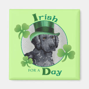 St. Patrick's Day Curly-Jackat Retriever Magnet