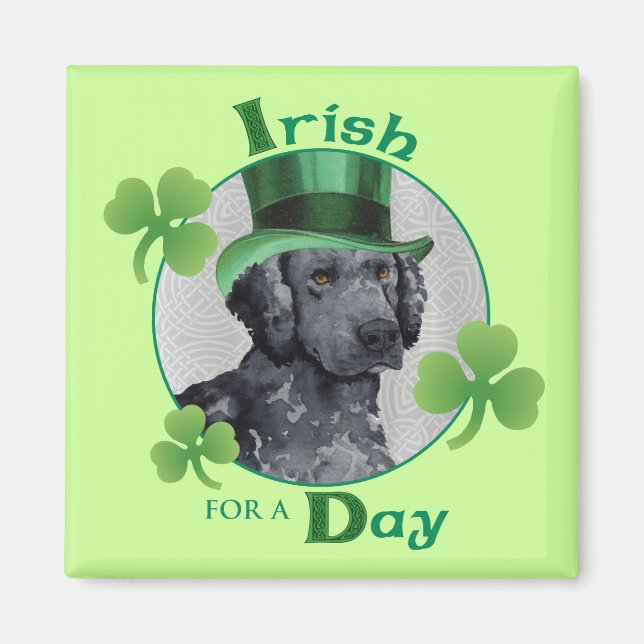 St. Patrick's Day Curly-Jackat Retriever Magnet (Framsidan)