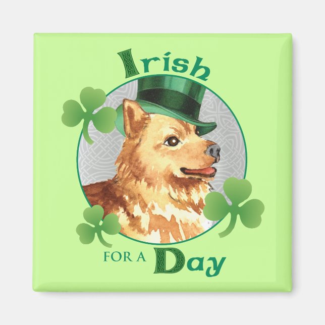 St. Patrick's Day Finlands Spitz Magnet (Framsidan)