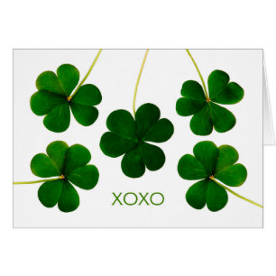 St. Patrick's Day for Boykompis, XOXO Shamrocks Hälsningskort