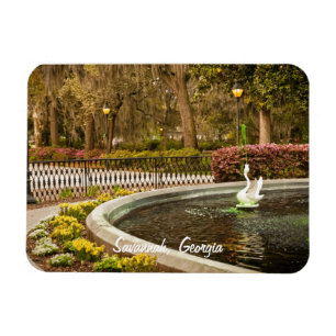 St patrick's day - Forsyth Fontän, Savannah, GA Magnet