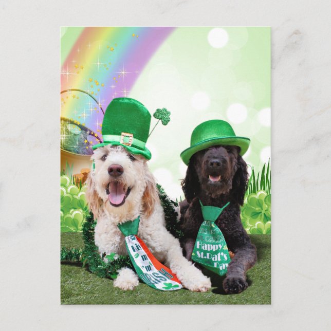 St patricks day - GoldenDoodles - Sadie och Izzie Vykort (Framsida)